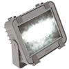 Beghelli BEGF50LED Proiettore LED 50 W, Multicolore