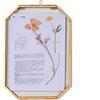 NCYP Cornice ottagonale da appendere in ottone per fiori secchi pressati per piante di erbario, vintage galleria decorativa da parete, telaio galleggiante da 12,7 x 17,8 cm, solo cornice in vetro