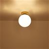 Mengjay Plafoniera Soffitto Moderna,Lampada a Sospensione Sferica in Ferro e Vetro，Illuminazione per interni，E27 lampadina，Lampada da Soffitto per Soggiorno, Camera da Letto (Small)