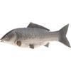Gresorth 35 cm Falso Carpa Decorazione Artificiale Pesce Realistico Animale Giocattolo Casa Cucina Ristorante Natale - Grigio
