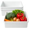 PALUPLUS 3 Vaschette Frigo in plastica Bianca da 15 Litri, Misura 50x35x12 cm, Bacinella professionale per conservazione alimenti, adatta per Ristoranti, Pescherie e Uso Domestico -005F -1,35