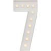 PHOYUXM Numero di luci a LED, 100 cm, numero grande con lampadine, 0 1 2 3 4 5 6 7 8 9, con scatola della batteria, 2000 - 3000 K, per feste di laurea, matrimoni (7)
