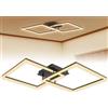 Froadp Moderna lampada da soffitto a LED da 60 W, colore nero, 40 cm, per soggiorno, 2800-3200 K, IP44, a risparmio energetico, per camera da letto, cucina, ufficio, bianco caldo