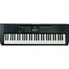 EKO KEYBOARDS - OKEY61 61 TASTI, Tastiera Arranger 61 Tasti, 5 Ottave, 100 Stili, 129 Suoni, Ideale per lo Studio, Compatta e Leggera, Colore Nero