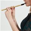 SPORTARC Flauto irlandese in ottone C/D chiave irlandese flauto stagno Pennywhistle metallo 6 fori (tono oro C)