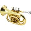 Yinfente Bb Flat Pocket tromba basso tromba per principianti e studenti con panno di pulizia, bocchino placcato argento 7C, custodia rigida guanti bianchi (nero)
