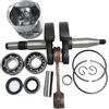 UYTGFO Kit di guarnizioni per motore per motoseghe a benzina H-U-S-Q-V-A-R-N-A 362 365 371 372 XP, 48 mm 50 mm Big Bore albero motore Pistone cuscinetto olio kit (50 mm 372 set)