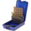 SW-Stahl SW STAHL Set di Punte Elicoidali HSS-G TiN per Metallo, DIN 338, 19 Pezzi | Diametro 1-10 mm, punte rettificate con rivestimento in nitruro di titanio, taglio a destra in custodia di plastica