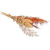 Rayher Mazzo di fiori secchi, arancio, 18-20cm, bus.blis. 1pz, 85491210