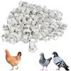 Cyrank 100 Anelli Per Zampe di Uccelli, 12 Mm 001‑100 Fasce Per Zampe di Piccione Numerate Anello Fasce Per Zampe in Plastica Clip su Anelli Per Zampe Per Pulcini Anello Per Zampe di Apertura (Bianco)