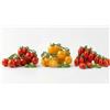 Generico Set Semi Pomodoro | Pomodorini Ciliegia, Pomodoro Ponderosa Giallo e Pomodoro Datterino | 3 Bustine con molteplici semi | Semi Ortaggi per Orto, Giardino e Balcone | Alta Germinazione