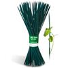 Novatool 200 bastoncini per piante in bambù, 50 cm x 5 mm, colore verde, per piante e fiori