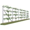 Kiwiri RANKI™ - traliccio per piante rampicanti - traliccio standard di piantagione per vino, kiwi, kiwiberry, rose, clematide, frutta a traliccio (5 campi (10 metri))