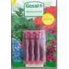 GESAL 1 Confezione da 4 fiale Fertilizzante concentrato concime Nutrimento rivitalizzante Liquido