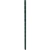 Bellissa Supporto per Piante Rampicanti, Verde, 3 x 3 x 100 cm, Spessore: 1,5 mm