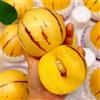 Generic semi di melone pera pepino, sapote, resistenti pera di melone, melone pepino di vecchie varietà, siepi, cespugli da balcone con 400pcs