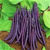 Generic Fagiolo francese nano - Regina viola - 80 semi - semi di fagioli viola - Phaseolus - NPWS