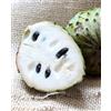 Generico Pianta di ANNONA MONTANA - Soursop - in vaso Ø CM 18 - H. pianta 80/100 CM.
