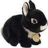 Aurora - Miyoni Tots - 7.5 Netherland Dwarf Bunny - Black