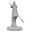 WizKids - D&D Nolzurs Marvelous Miniatures: Sea Elf Fighters - Wave 20