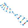 Abaodam a Doppia Dna Kit Didattico Educativo Strumento Di Apprendimento Per Biologia E Genetica Con Componenti Plastici Per Studenti