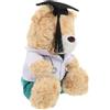 Zerodeko Orsacchiotto Laurea Medico in Peluche Con Abito Da Dottore Per Studenti Di Medicina e Festeggiamenti Di Laurea Peluche Versatile Per Decorazione e Gioco