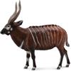 Collecta Figurine - Bongo Antilope - Collecta 88809