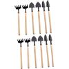 TOYANDONA Set Mini Attrezzi da Giardino per Trapianto Strumento a Denti e Paletta in Ferro Ergonomico per Piante in Contenitore e Attività di Giardinaggio Indoor ed Outdoor 12 Pezzi