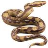 Toddmomy Impostore Giocattoli del Ragazzo Ragni Finti Scherzo Modello Serpente Oggetti di Scena del Serpente di Halloween Serpente Giocattoli Ingannevoli Mancare Solido Allevare Uccelli