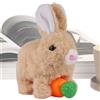 Generico Bunny Robot Giocattolo,Animale da Compagnia Educativo e Realistico - Giocattoli Interattivi Coniglietto di Peluche - Regalo per Bambini e Bambine Compleanno Natale Pasqua e Anno Nuovo