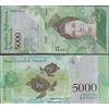 Prophila Collection Banconote Venezuela Pick-n.: 97c Bankfrisch 2017 5.000 Bolivares (Banconote per collezionisti) Anfibi/Rettili/Saurier