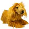 Carl Dick Levriero afgano 34 cm Peluche, peluche morbido, animale di peluche 3772