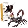 Zunishaone Giocattolo RC Scorpion - Telecomando a infrarossi, dispositivo per insetti finti, simulazione di scansione | per scherzi, vacanze, bambini, adulti, animali interattivi, trucchi di
