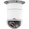 Axis 231 D + Dome Camera 60 Hz