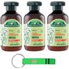 Beni Culinari 3x Antica Erboristeria Shampoo Seboregolatore all'Ortica per Capelli Grassi Formula Vegan Senza Siliconi e Coloranti,Flaconi da 250ml + Portachiavi Beni Culinari in Omaggio
