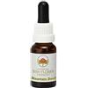 Australian Bush Flower Essences Bush Flower - Mountain Devil 15 ml -Essenza floreale