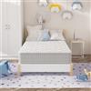DEWINNER | Materasso Memory Foam 80x190 Singolo | 25CM | Materasso a Memoria in schiuma | Ortopedico Rigido e Rigidità media | Certificato OEKO-TEX | Anallergico | Alleviamento Punti di Pressione