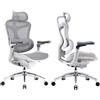 SIHOO Doro C300 Pro Sedia Ergonomica da Ufficio con Braccioli Ultra-Soavi 6D, Supporto Lombare Dinamico e Regolazione Profondità Seduta Sedia da Ufficio Alta per Casa, 2 Pacchi Separati(Bianca)