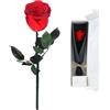 Volhuluk Rosa Eterna Stabilizzata, Rosso Rosa Naturale Conservata, Fiore Reale con Stelo, Rosa Stabilizzata Vera per San Valentino, Compleanno, Festa Mamma, Anniversario, Matrimonio