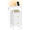 Hzuaneri Comodino, tavolino stretto con illuminazione a LED, 1 porta USB-A, 1 porta USB-C, comodino con 2 cassetti in tessuto, moderno, per Camera da Letto e Soggiorno, Bianco NS12113W