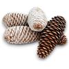 Generico 66x Pigne Naturali Innevate per Decorazioni di Natale, Pigna per Addobbi, Lavoretti, Dimensioni Varie assortite, Appendino con laccetto gancetto, per la Casa, scuola, letterina di Babbo Natale
