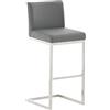 CLP Sgabello con Schienale Paros, Sgabello a Sbalzo con Rivestimento in Pelle Sintetica, Telaio in Acciaio Inox, Supporta fino a 240 kg Colore grigio