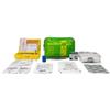 p age KIT Pronto Soccorso antiveleno ANTIOFIDICO morsi di serpenti e punture di insetti
