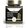 Zayti Miel di euforbia (honey) del Marocco 100% puro e naturale vero premium 300 g - qualità più sottile, grande varietà di sapori deliziosi. (300g)
