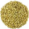 YouHerbIt Pinoli Secchi Interi Crudi - Pinus Gerardiana (25g)
