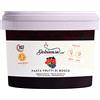 Dolcincasa.com Pasta Gelato ai Frutti di Bosco - Prodotti per Gelati alla Frutta 500 g