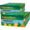 Sogni d'oro Sognid'oro Tisana Drenante Infuso con Estratti Naturali di Betulla Ananas Guaranà Citronella Camomilla Ortica Gramigna - 7 Confezioni da 20 Filtri