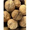 Generico Noci italiane in guscio (5 kg)