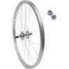ECOVELO C2875PS7. Ruota Posteriore 28 700 X 35 622x20C 28 x 1.75 Alluminio/Acciaio X City Bike Olanda da Passeggio Con Cambio 7V