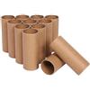 predolo 12 tubi di cartone, tubi di carta assorbente, rotoli di carta spessa e robusta per lavori artigianali, progetti fai da te fatti a mano per la famiglia, 10 Cm